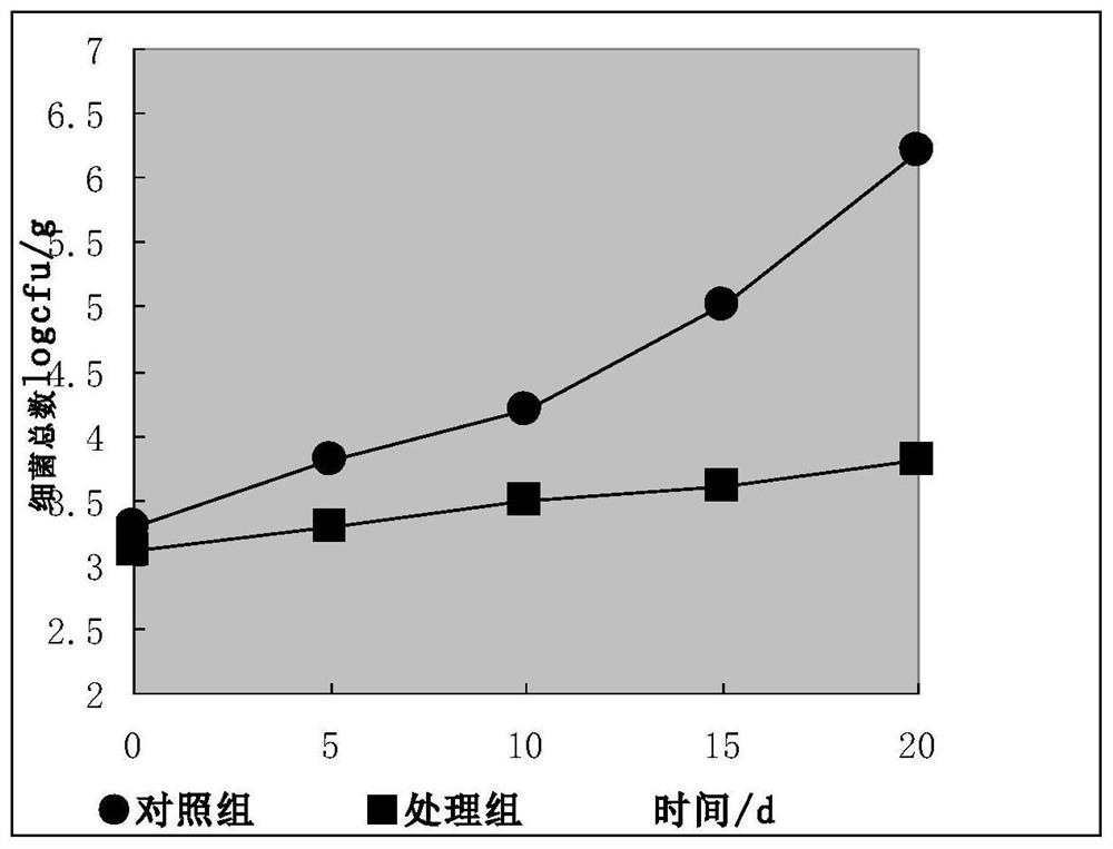 Meat preservative and preparation method thereof