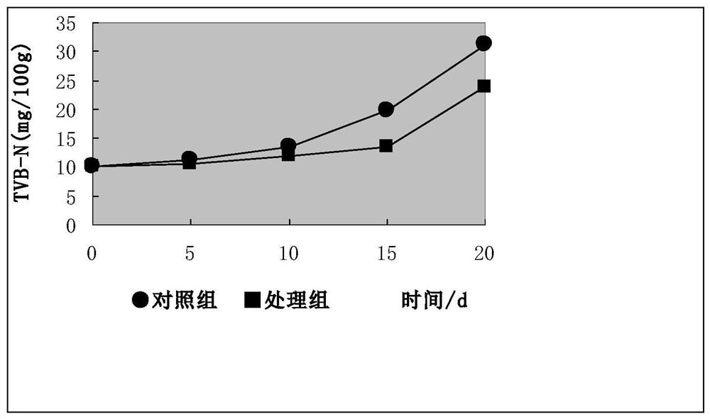 Meat preservative and preparation method thereof