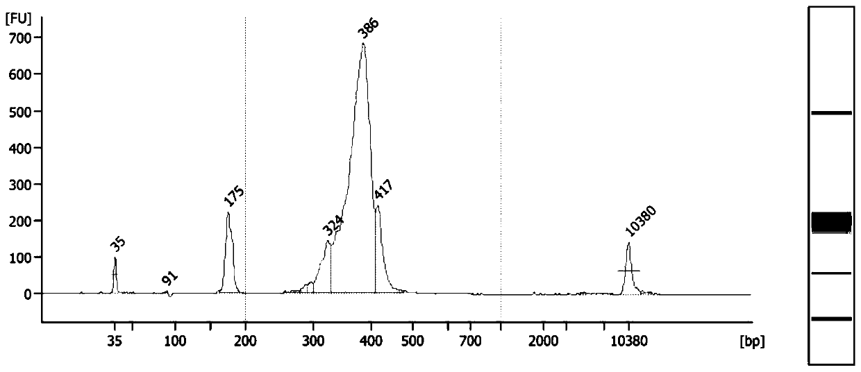 Primer combinations, methods and kits for multiple genetic metabolic liver disease targeting libraries