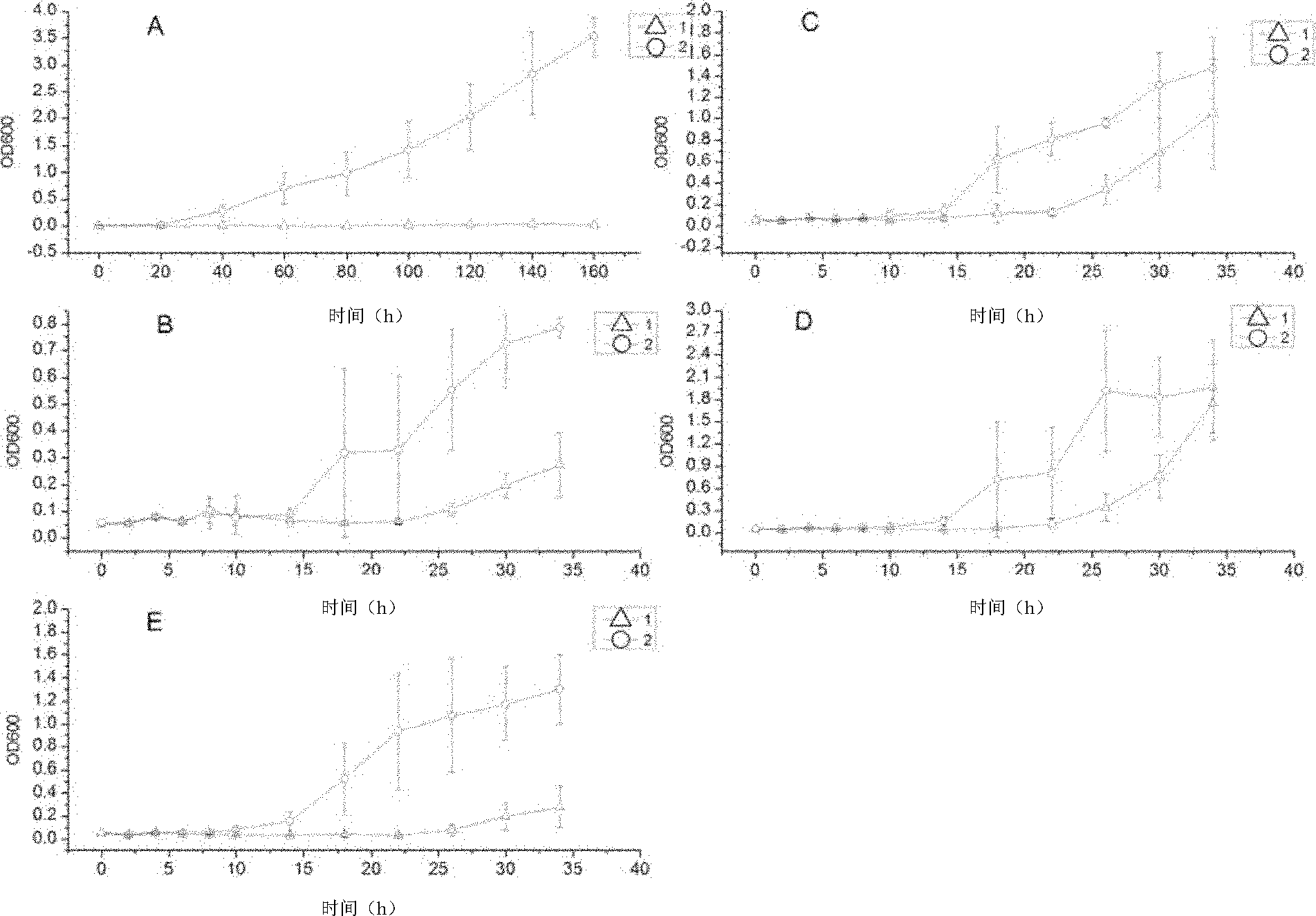 Protein, coding gene of the protein, and use of the protein in petroleum hydrocarbon degradation