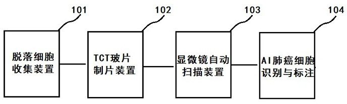 Cervical cancer cytology artificial intelligence screening method and device