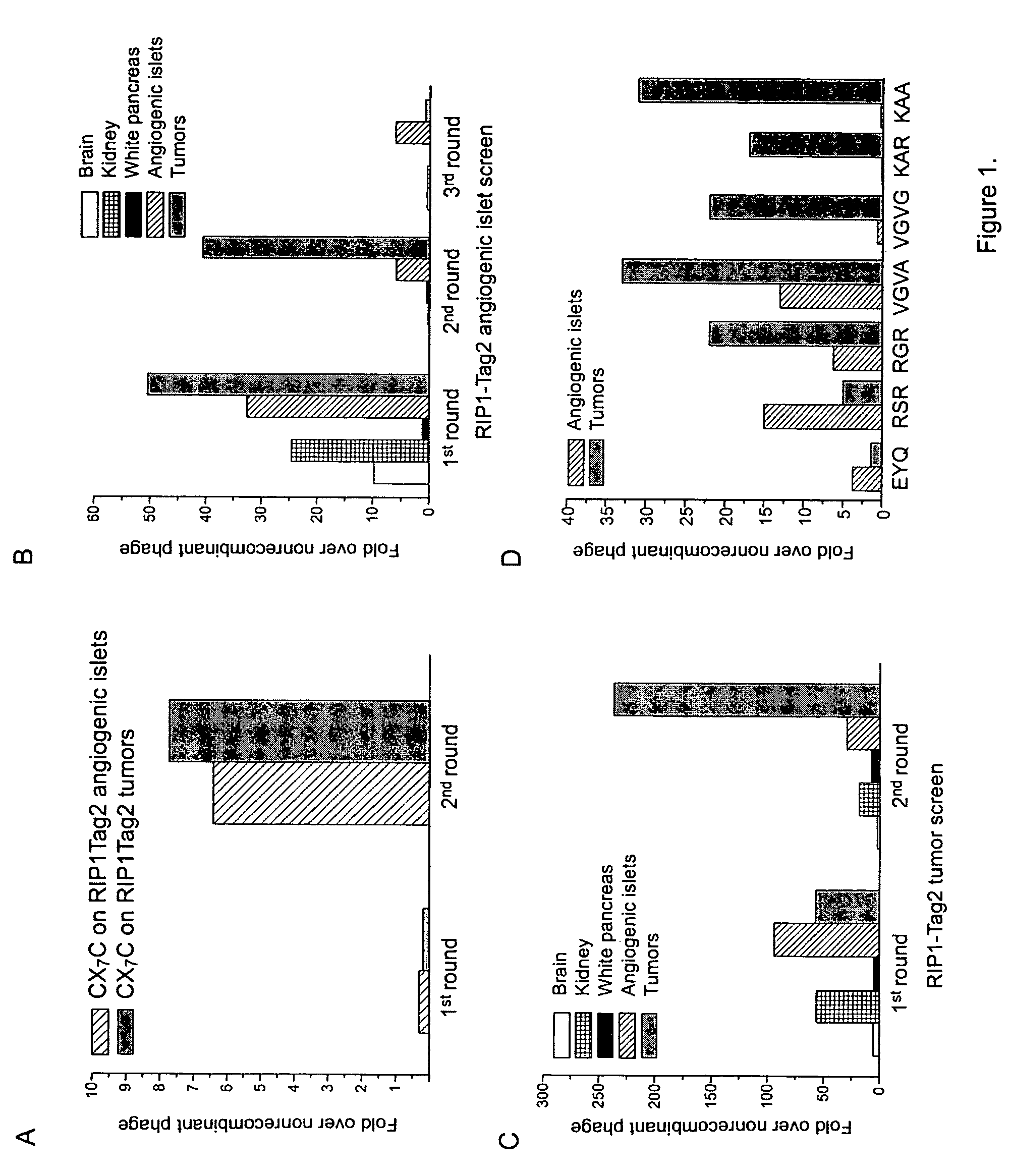 Molecules that selectively home to vasculature of premalignant or malignant lesions of the pancreas and other organs