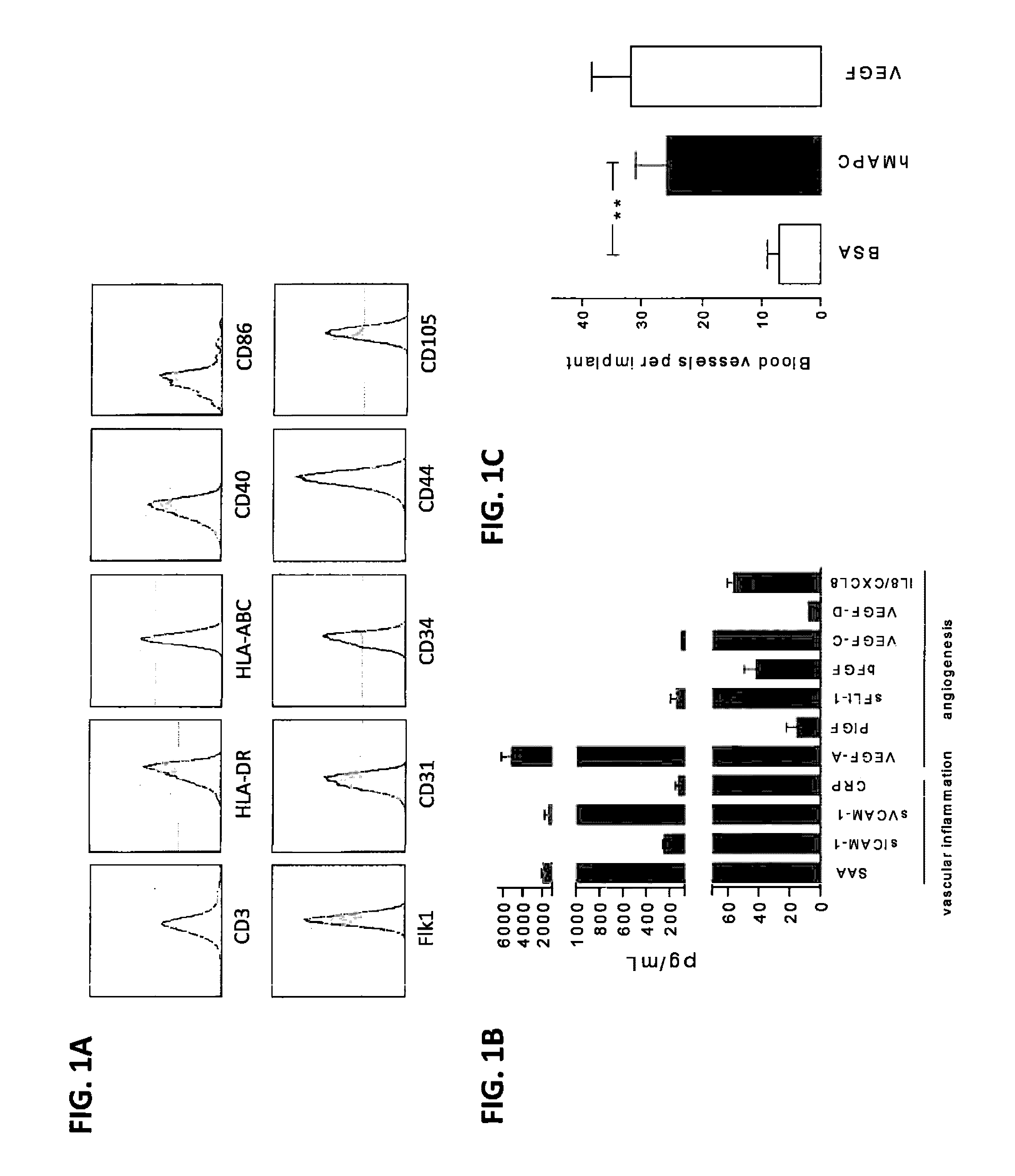 Methods for Pancreatic Islet Transplantation