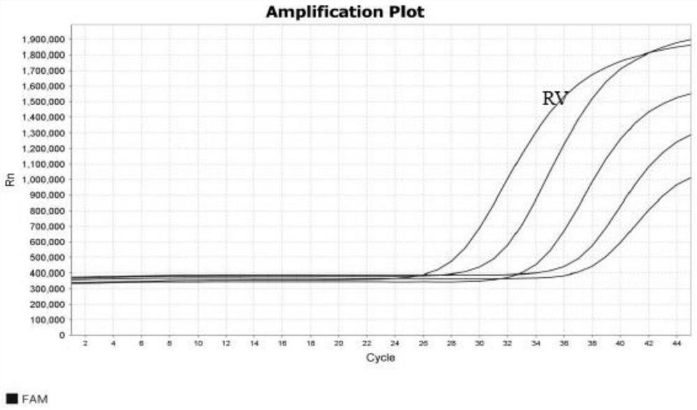 Kit, primer probe composition and method for jointly detecting multiple enteroviruses