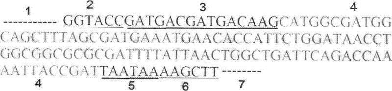 Glucagon-like peptide-2 poly(ethylene glycol) conjugate, and preparation method and application thereof