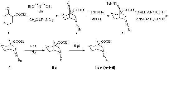 1,3-disubstituted-3-diazabicyclo[3,3,1] nonane derivative and preparation method thereof