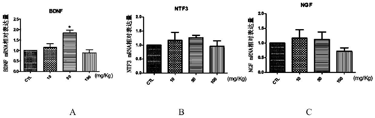 Biguanide substance and application thereof