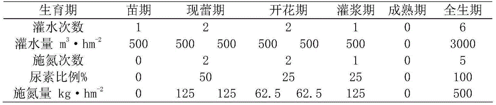 High-yield planting method applicable to multiple sowing of oil sunflowers in northern Sinkiang region