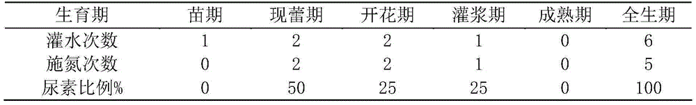 High-yield planting method applicable to multiple sowing of oil sunflowers in northern Sinkiang region