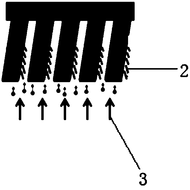 Functionalized micro-channel plate and biomolecular sensor including same