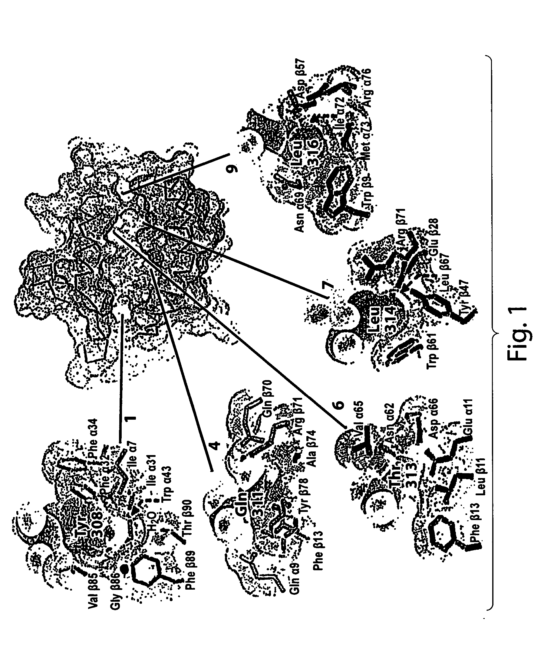 Identification of self and non-self antigens implicated in autoimmune disease