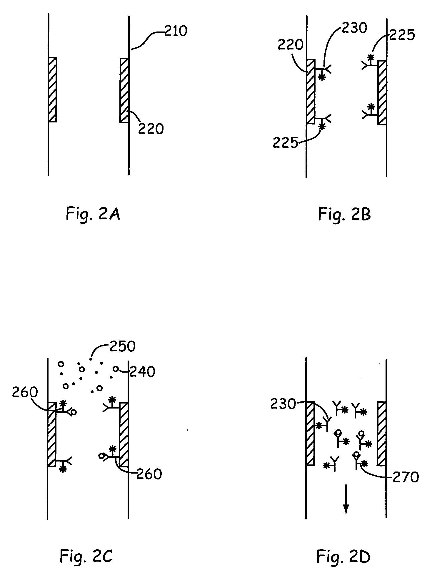 Capture and release assay system and method