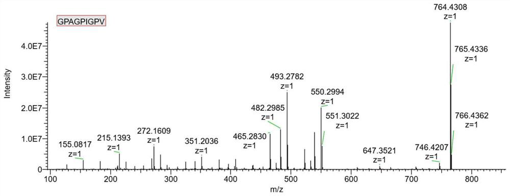 A kind of sheepskin collagen peptide with dpp-iv inhibitory activity and preparation method thereof