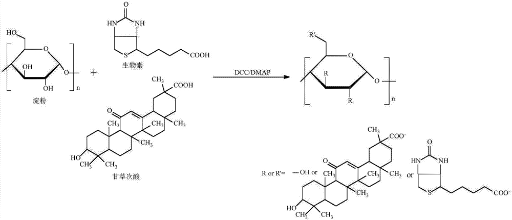 Nano targeted drug carrier, preparation method and application of carrier