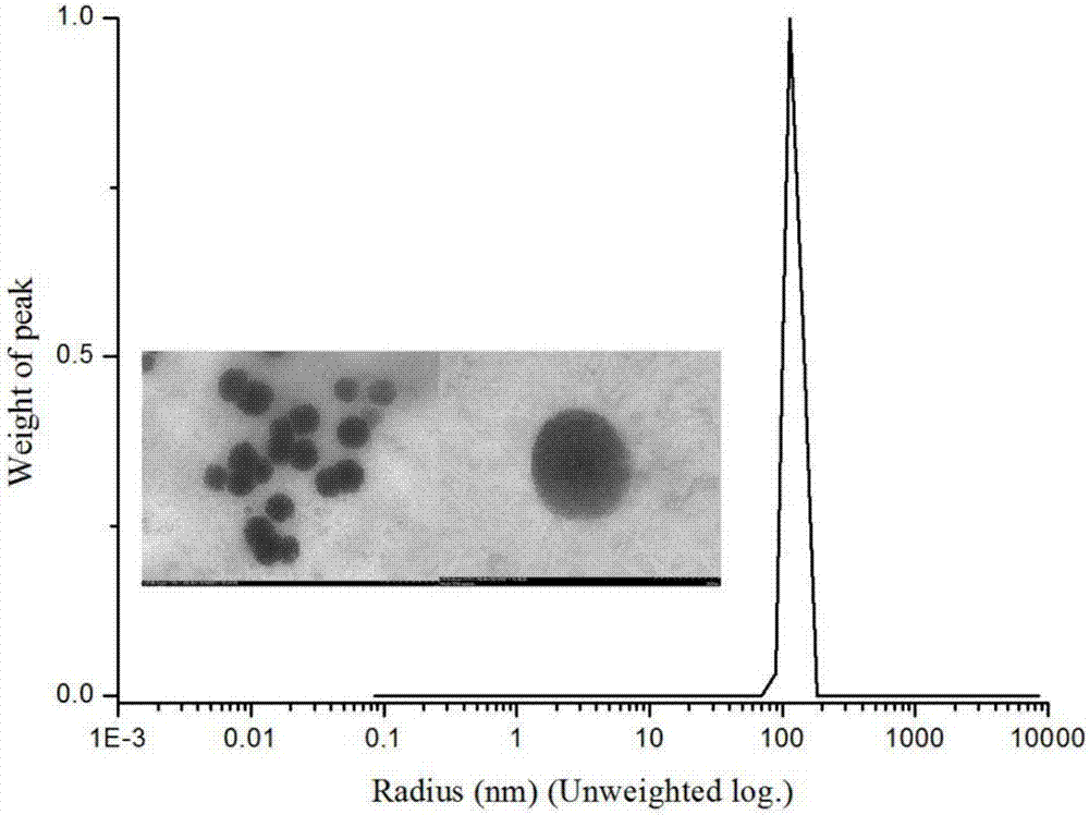 Nano targeted drug carrier, preparation method and application of carrier