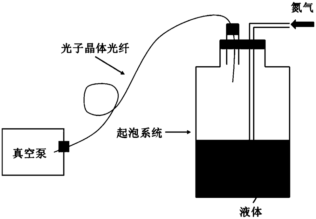 Selective hydrophobic treatment method for air holes of hollow-core photonic crystal fiber