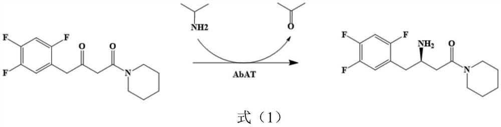 Amine transaminase acata mutant and its application in the preparation of sitagliptin intermediate