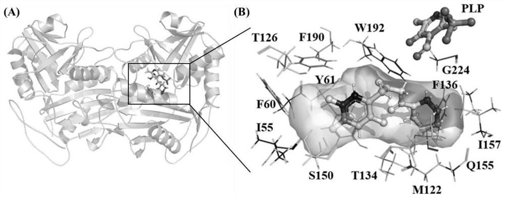 Amine transaminase acata mutant and its application in the preparation of sitagliptin intermediate