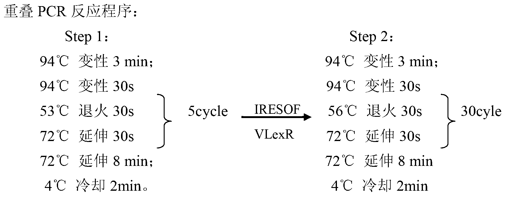 Staphylococcal enterotoxin gene engineering reshaped antibody and its preparation method and use