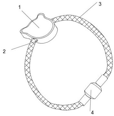 Anti-interference precious metal jewelry with built-in chip