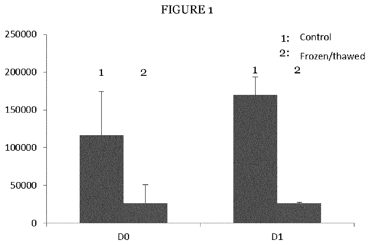 Mesenchymal stromal cell bone graft material