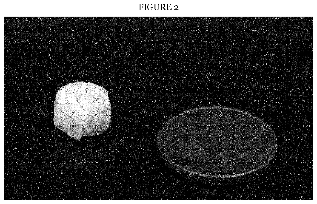 Mesenchymal stromal cell bone graft material