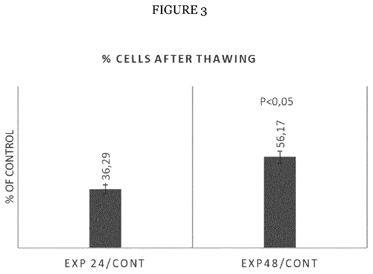 Mesenchymal stromal cell bone graft material