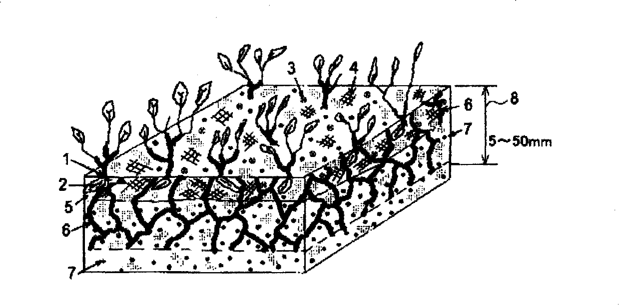 Desert control method of chemical sand-fixing greening technology based on organic composite materials