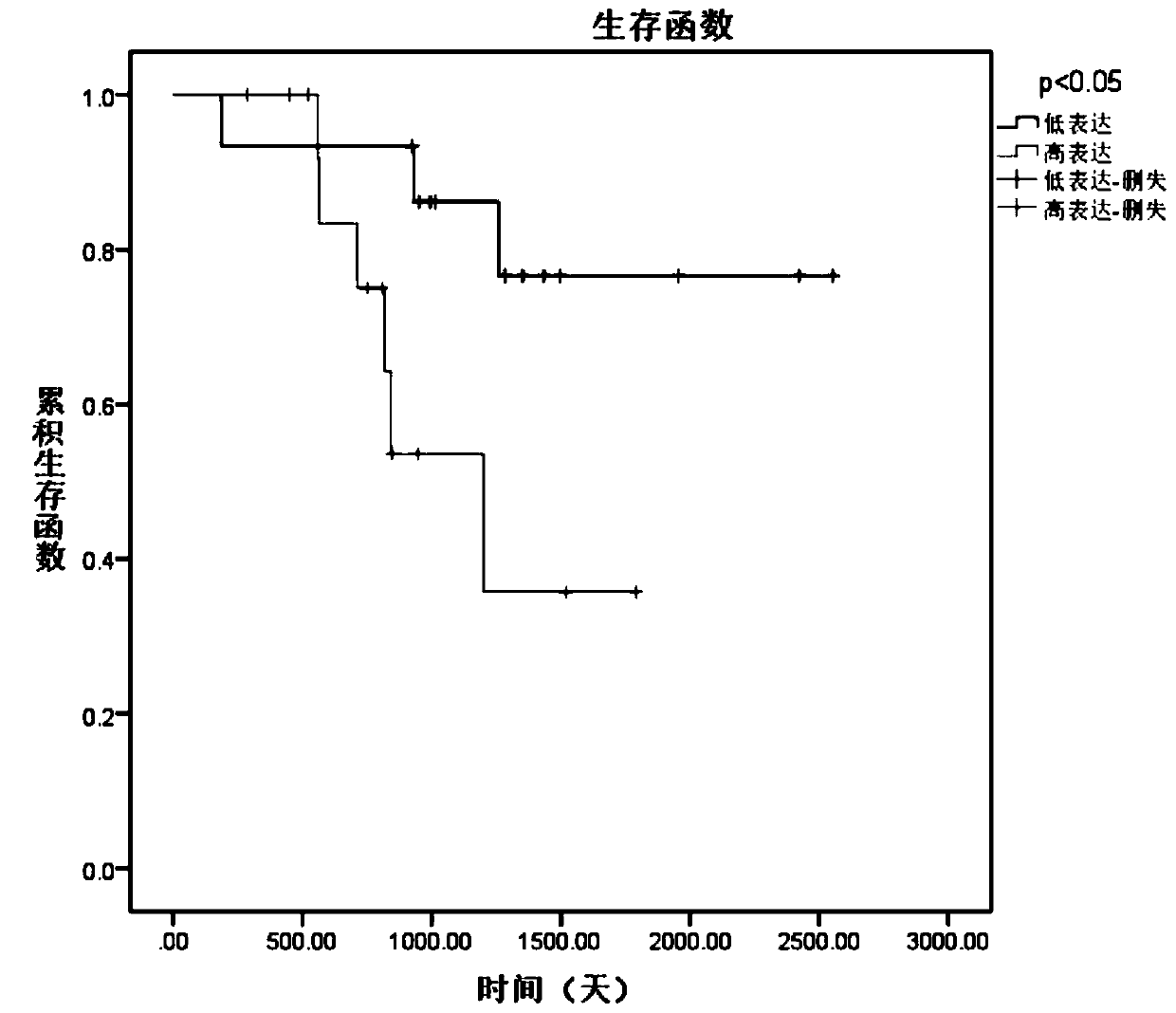 Application of DDX20 in preparation of rectal cancer postoperative prognosis evaluation kit