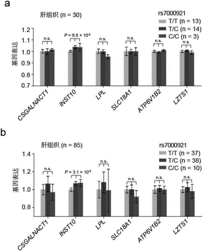 Use of INTS10 gene/protein in inhibiting HBV gene duplication or preventing or treating HBV associated diseases