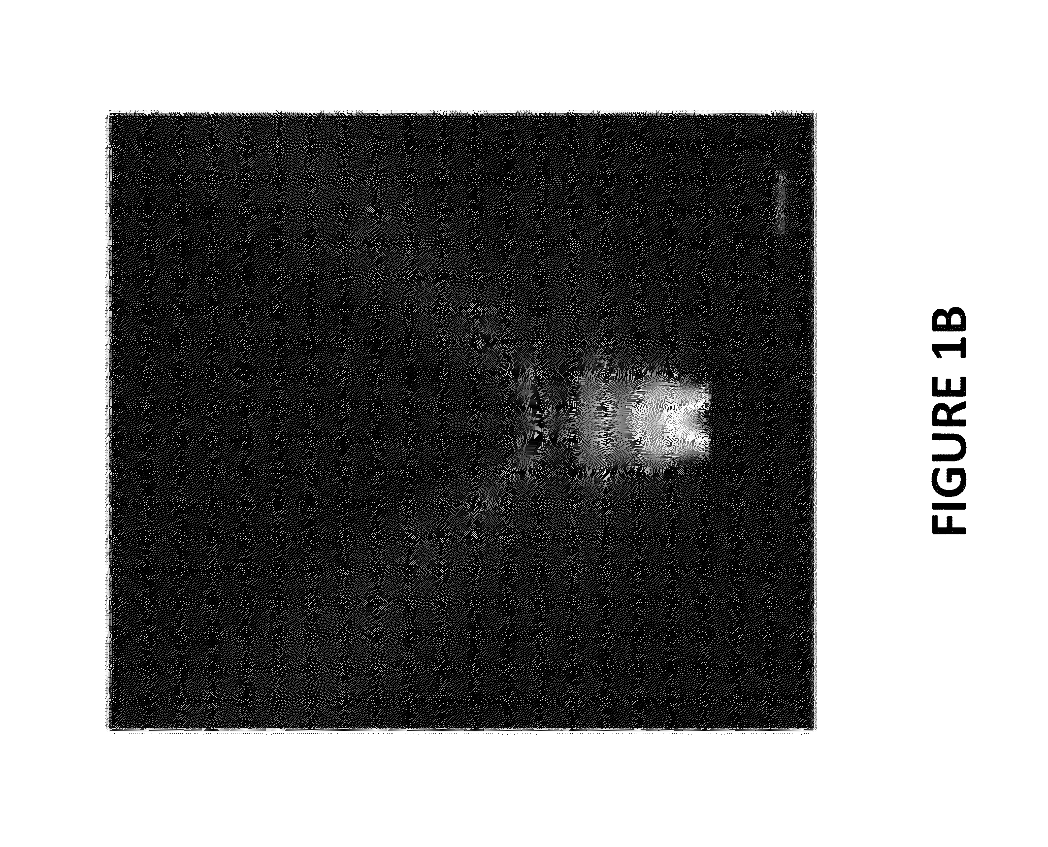 Fluorescence axial localization with nanometer accuracy and precision