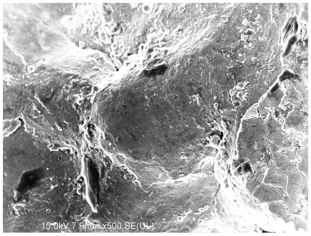 Preparation method and application of porous titanium alloy material modified by plasma spraying composite coating