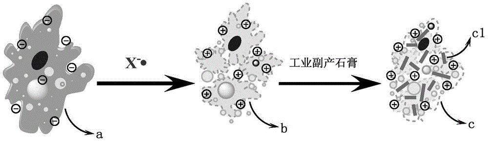 Compound conditioning and deep dewatering method of sludge