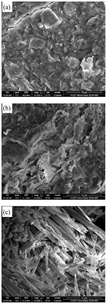 Compound conditioning and deep dewatering method of sludge