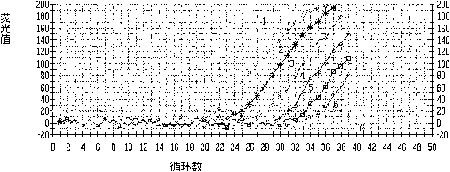 Reagent for detecting brucella and complex probe fluorescence quantitative PCR (polymerase chain reaction) brucella detection method