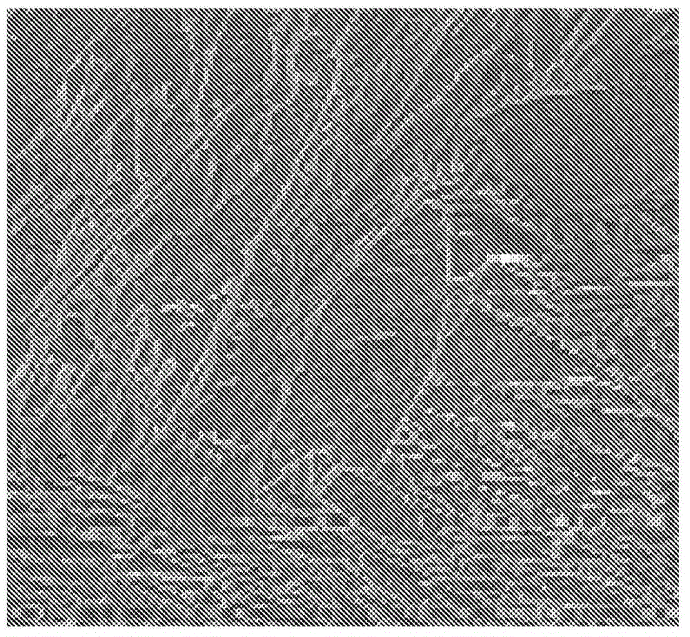 Microtreatment and microstructure of carbide containing iron-based alloy