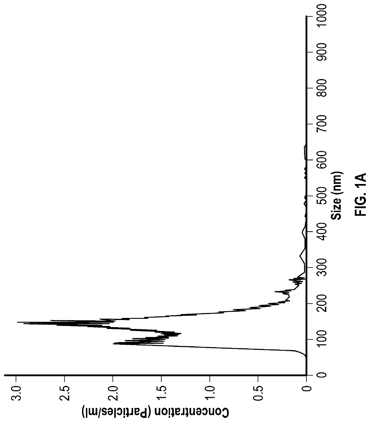 Extracellular vesicles for inhalation