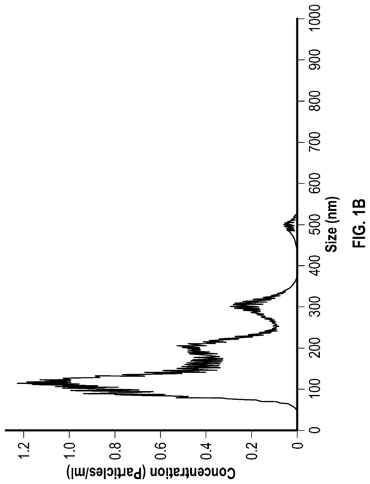 Extracellular vesicles for inhalation