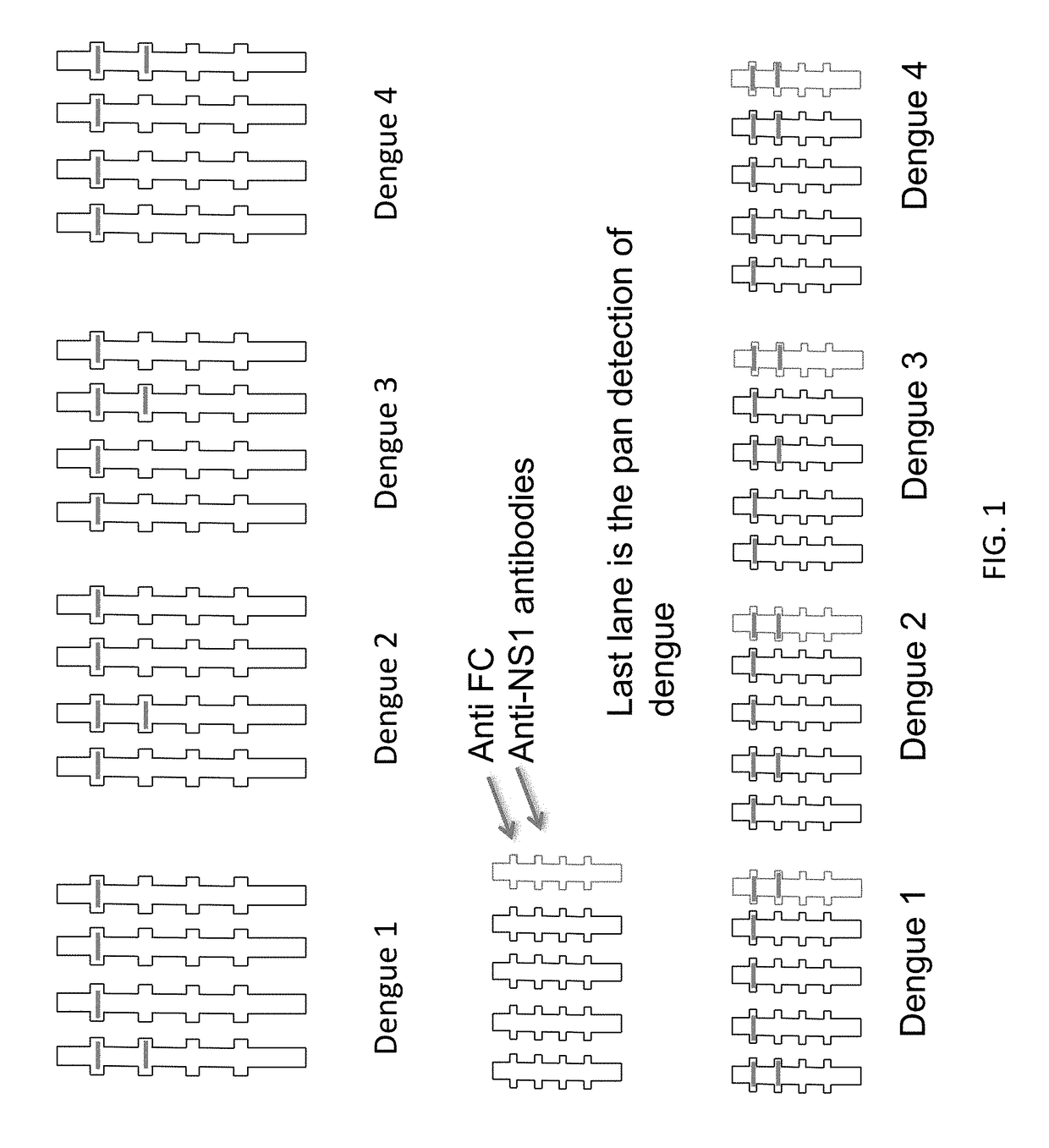 Anti-Dengue Virus NS1 Protein Monoclonal Antibodies