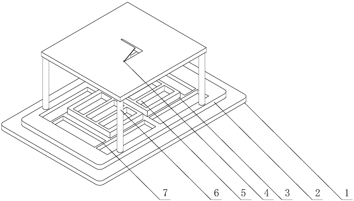 Cultivation method for interplanting polyporus umbellatus in mulberry field