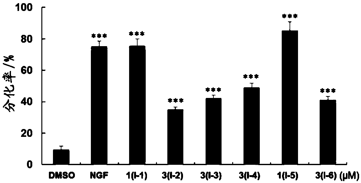 Pentacyclic triterpenoid compound, derivatives of pentacyclic triterpenoid compound and applications