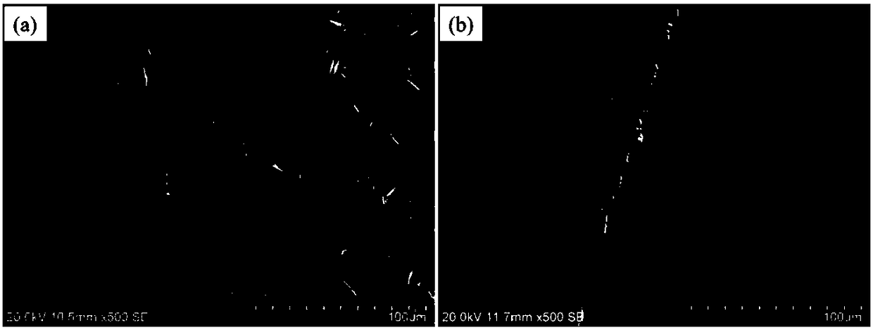 Calcium-phosphorus compound-magnesium composite coating for bone implanting and preparation method thereof