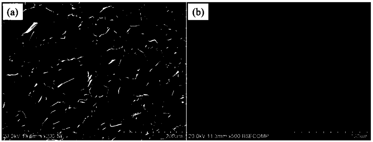 Calcium-phosphorus compound-magnesium composite coating for bone implanting and preparation method thereof