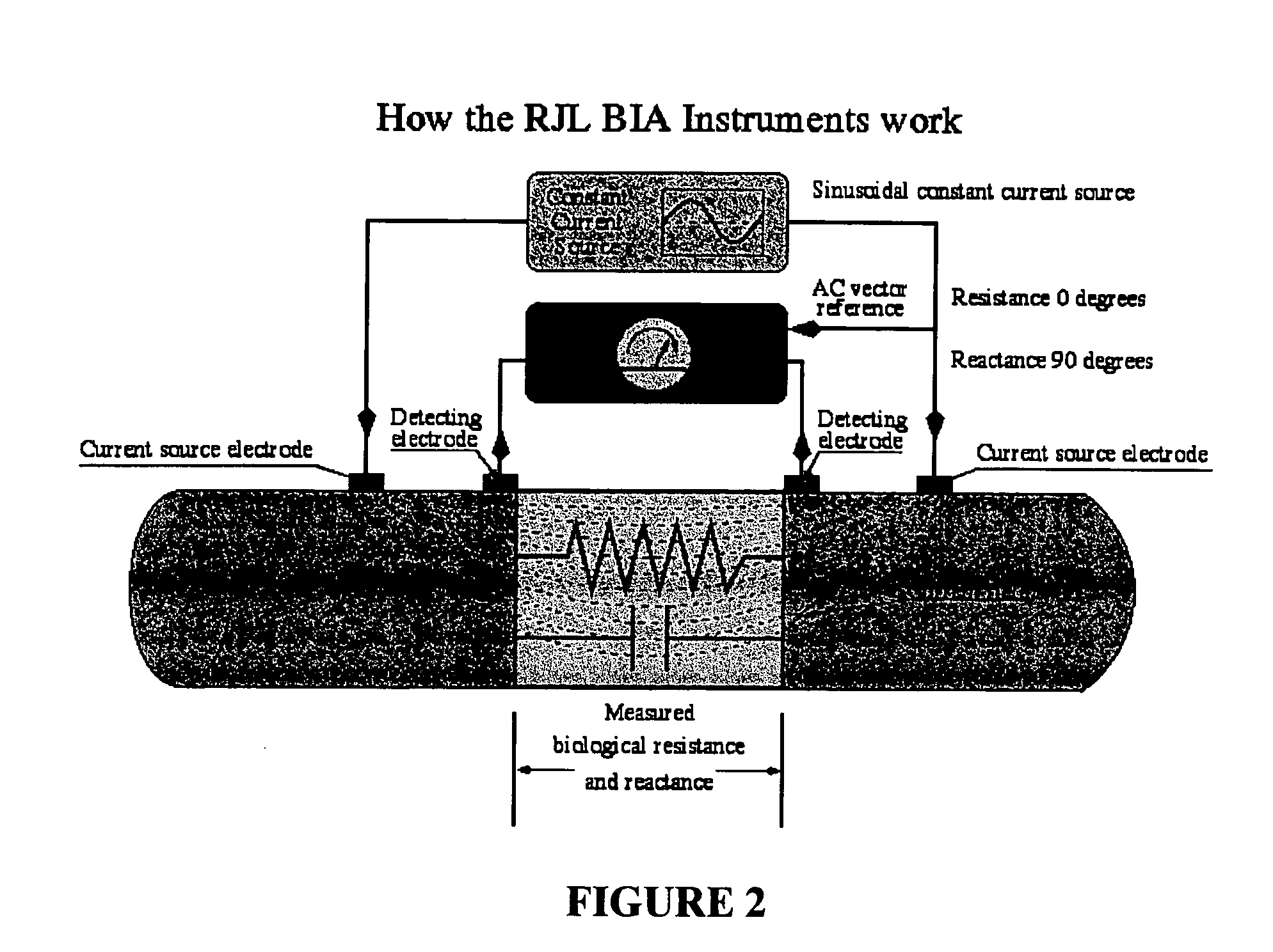 Method for determining fish composition using bioelectrical impedance analysis