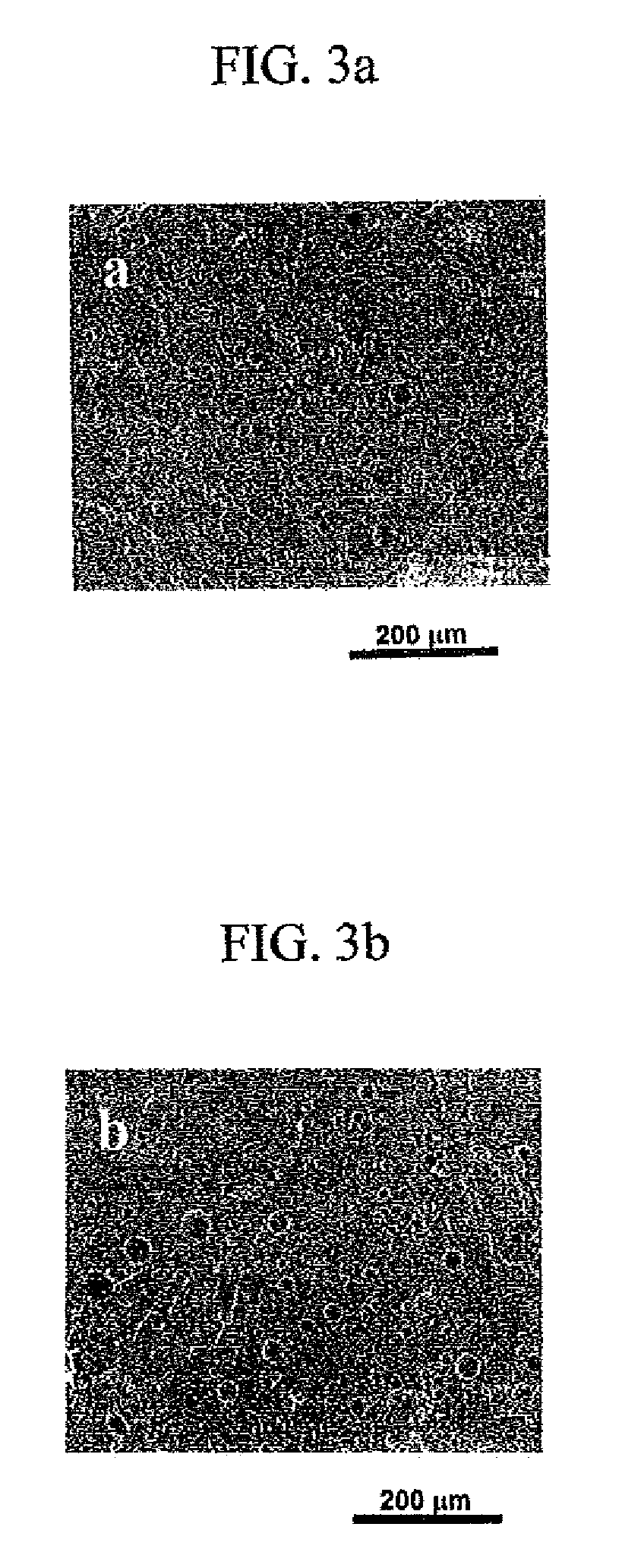 Polystyrene foam containing a modifier-free nanoclay and having improved fire protection performance