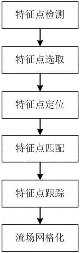 Fluid motion vector estimation method based on feature optical flow