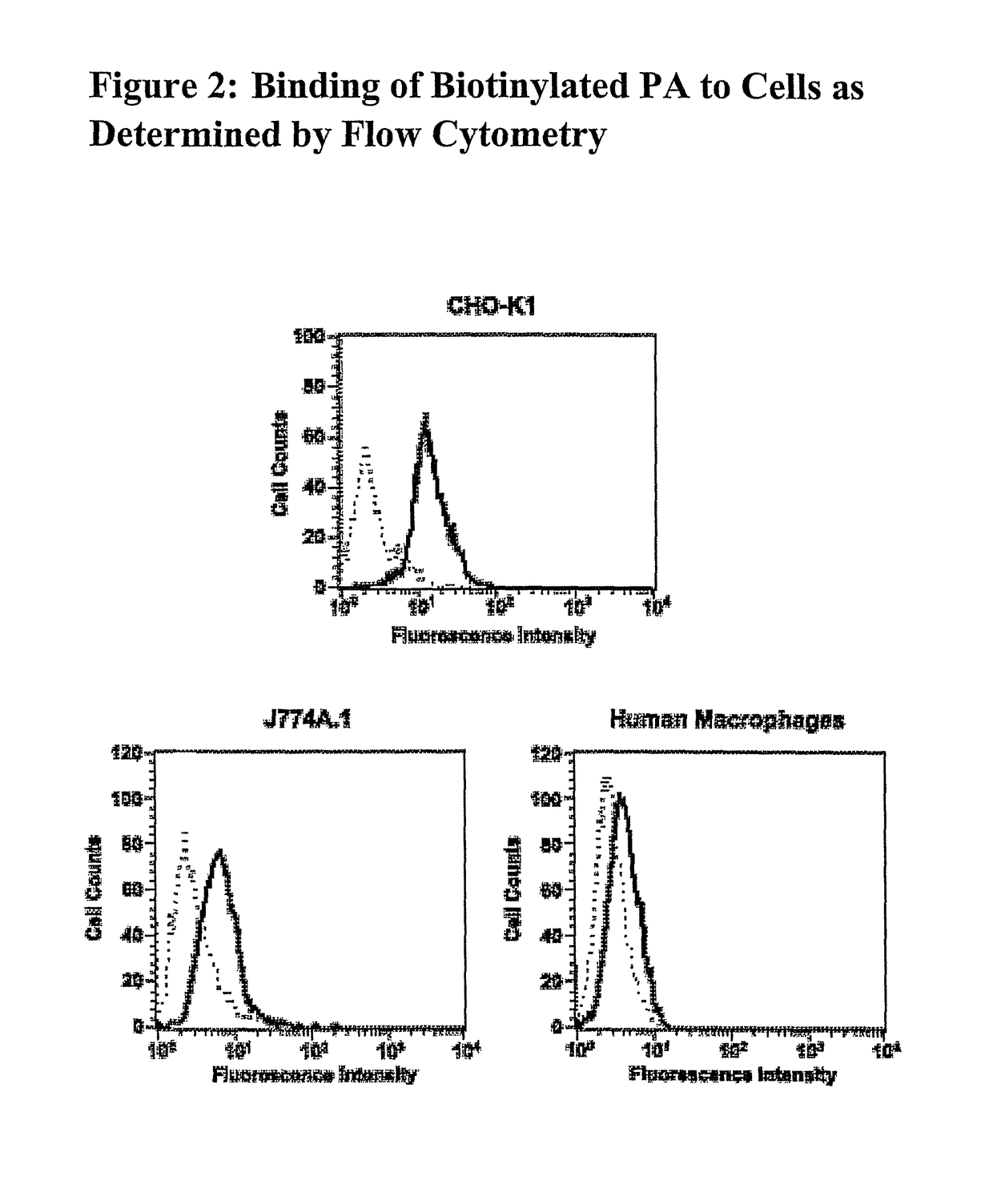 Antibodies against protective antigen