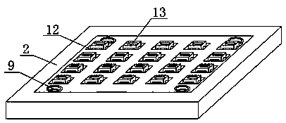 Pecan shell cracking and separating sorting device and application method thereof