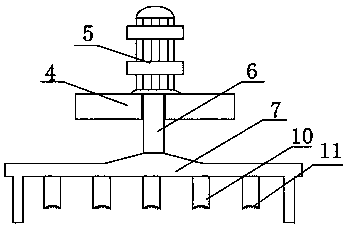 Pecan shell cracking and separating sorting device and application method thereof