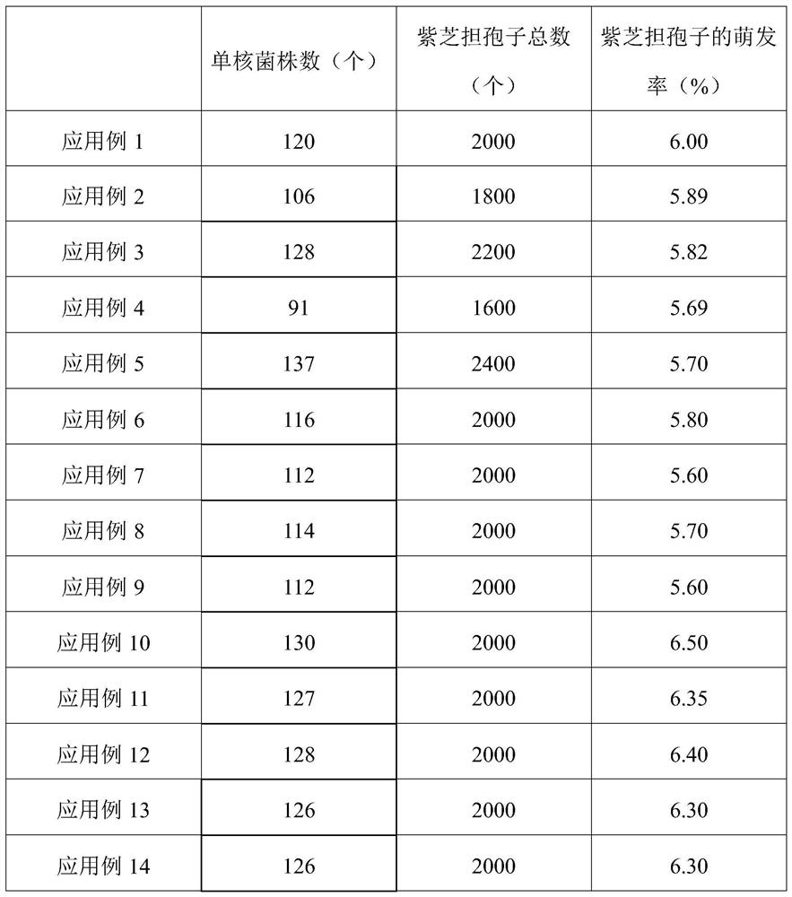 A kind of germination medium of Zizhi basidiospores and the germination method of Zizhi basidiospores